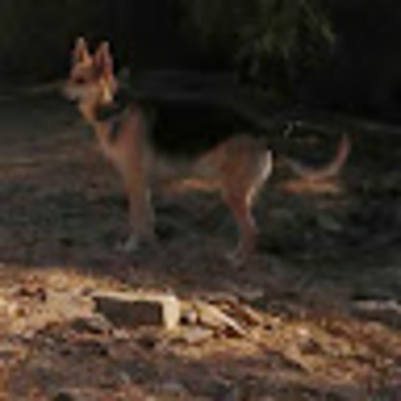 Meet your Posher, Tim - Picture 1 of 1